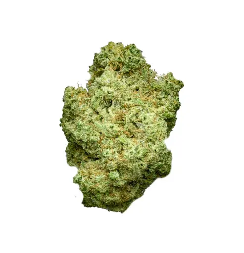 [3A] Bruce Banner